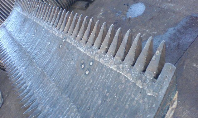 Bagaceira recuperada, com os dentes reconstruídos